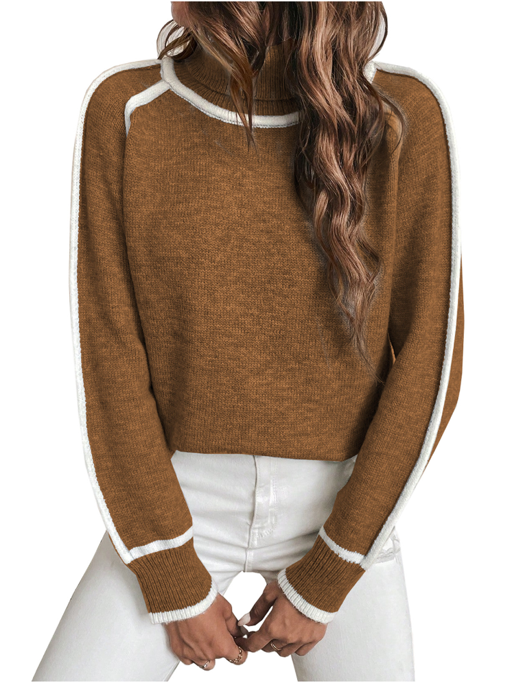 Birgitta | Mjuk Turtleneck Vintertröja